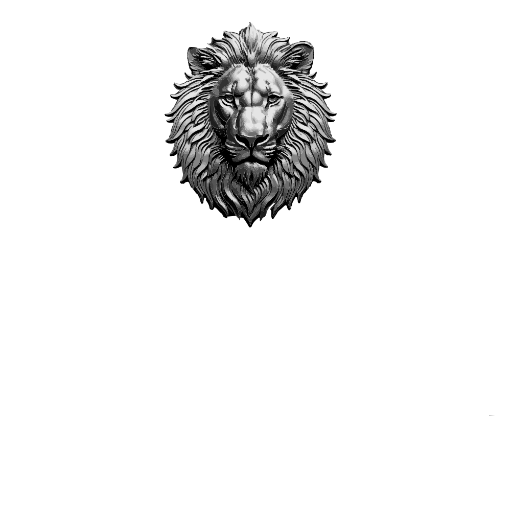 Casa Mr. Lion